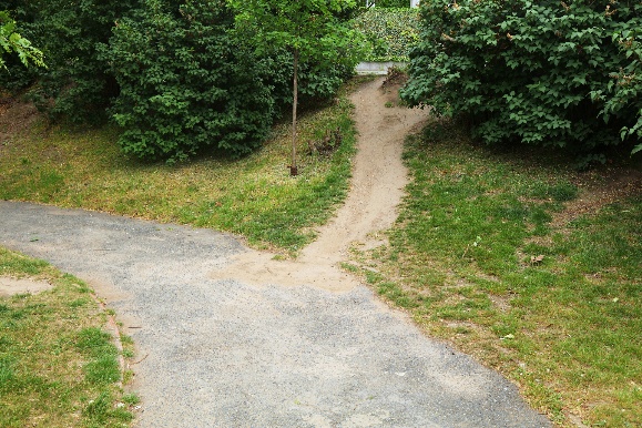 Dirt Path