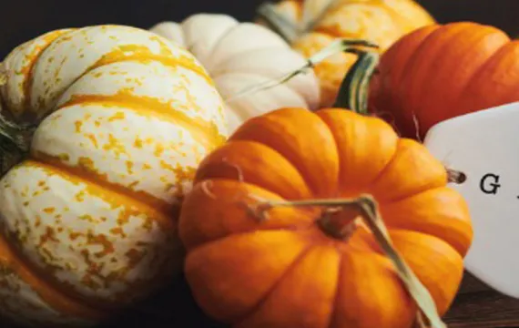 Pumpkins and Card with Grateful