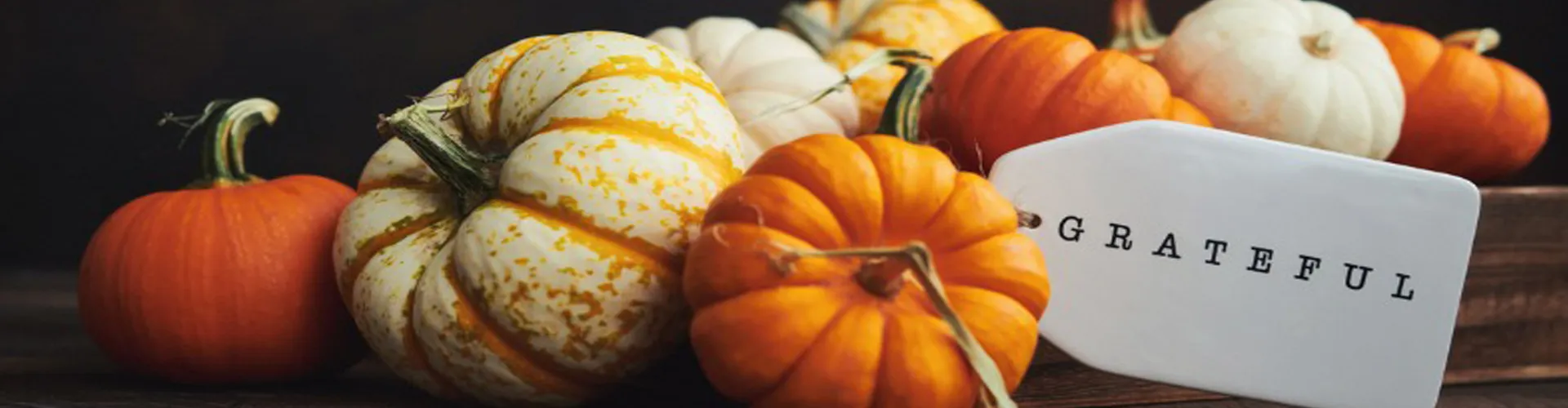 Pumpkins and Card with Grateful