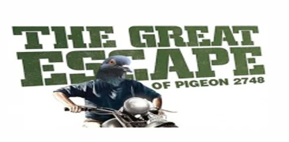 the great escape